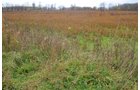 Property photo 19 - 80 Acres & Home - Property Offered in 4 Tracts from 2.3 to 30.0 Acres